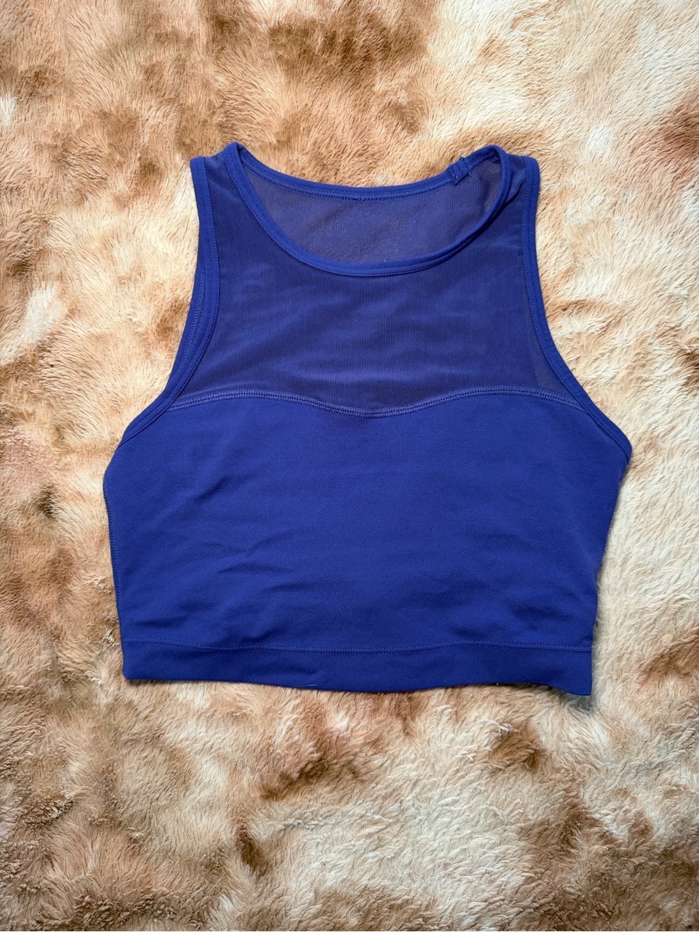 Women's Royal Blue Mesh Panel Crop Top